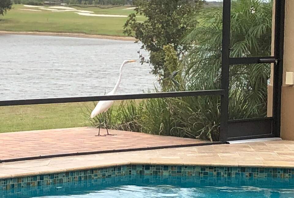 Quiet Oasis with Private Pool in The Villages, Florida - The Villages, Florida