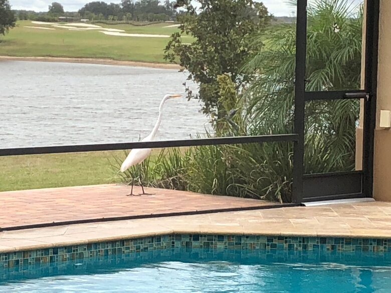 Quiet Oasis with Private Pool in The Villages, Florida - The Villages, Florida