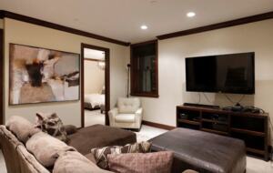 Magical Mountain Retreat - Aspen, Colorado