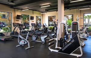 Villa Del Palmar Beach Resort and Spa - Cabo San Lucas, Mexico