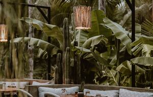 Acre Resort - 3 bedroom Jungle Villa - San Jose del Cabo, Mexico