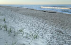 Hidden Haven - Southern Shores, North Carolina