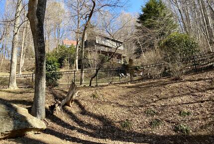 Beautiful Mountain Retreat | 10 minutes to Downtown Asheville - Asheville, North Carolina