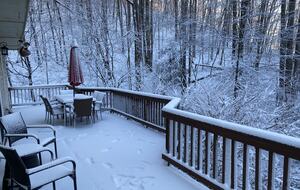 Beautiful Mountain Retreat | 10 minutes to Downtown Asheville - Asheville, North Carolina