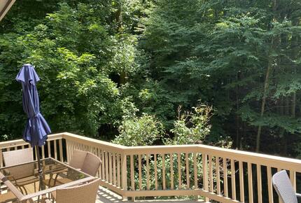 Beautiful Mountain Retreat | 10 minutes to Downtown Asheville - Asheville, North Carolina