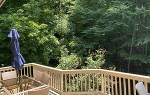 Beautiful Mountain Retreat | 10 minutes to Downtown Asheville - Asheville, North Carolina