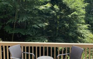 Beautiful Mountain Retreat | 10 minutes to Downtown Asheville - Asheville, North Carolina