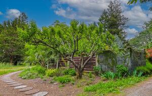 Serene Wine Country Retreat - Sebastopol, California