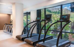 Stunning Snowmass Haven - Snowmass Village, United States