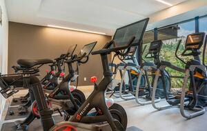 Stunning Snowmass Haven - Snowmass Village, United States