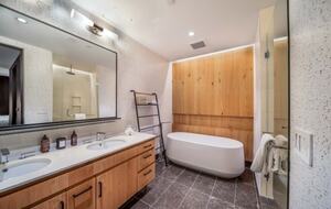 Stunning Snowmass Haven - Snowmass Village, United States