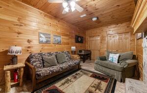 Bear Holler - Cherry Log, Georgia