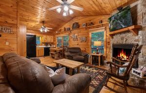 Bear Holler - Cherry Log, Georgia