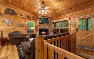 Bear Holler - Cherry Log, Georgia