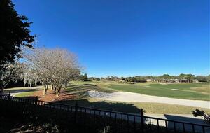 View outside the lanai