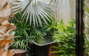 Acre Resort - 3 bedroom Jungle Villa - San Jose del Cabo, Mexico