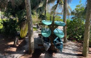Paddle Boards and Kayaks