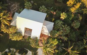 Aerial the home set among the palm trees