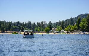 Fallen Timber - Lake Arrowhead, California