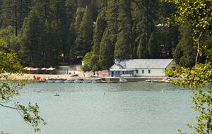 Fallen Timber - Lake Arrowhead, California