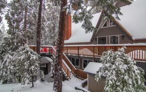 Fallen Timber - Lake Arrowhead, California