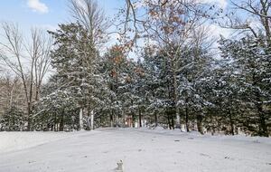 Gorgeous Vermont Getaway - Stowe, Vermont