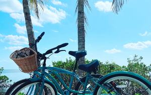 Vista De Sirenas - Cudjoe Key, Florida