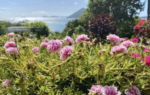 Great Camanoe Villa - Great Camanoe Island, Virgin Islands, British