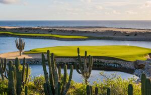 Studio l Grand Solmar Pacific Dunes - Cabo San Lucas, Mexico