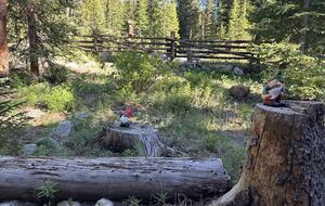 Large Log Home on a Private Acre with a Pond - Breckenridge, Colorado