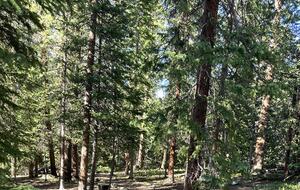 Large Log Home on a Private Acre with a Pond - Breckenridge, Colorado