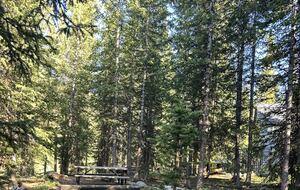 Large Log Home on a Private Acre with a Pond - Breckenridge, Colorado