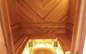 Serenity in the Jungle - Puerto Morelos, Mexico