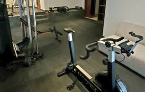 Serenity in the Jungle - Puerto Morelos, Mexico