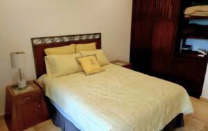 Serenity in the Jungle - Puerto Morelos, Mexico