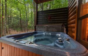 Bear Holler - Cherry Log, Georgia