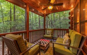 Bear Holler - Cherry Log, Georgia