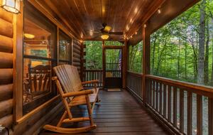 Bear Holler - Cherry Log, Georgia