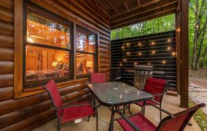 Bear Holler - Cherry Log, Georgia