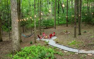 Bear Holler - Cherry Log, Georgia