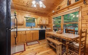 Bear Holler - Cherry Log, Georgia