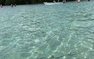 Coralina - Bradenton, Florida