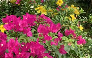 Gestalt Villa at The Steele Point Estate - Tortola, Virgin Islands, British