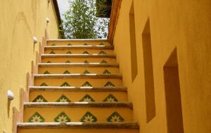 Steps to rooftop garden