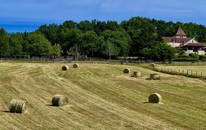 Les Hirondelles Dordogne Stone House - Gindou, France
