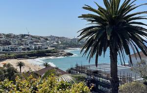 Mesmerising views, can watch the surfers at Tamarama