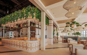 Oceanfront Guest Room at AVA Resort Cancún (All-Inclusive Vacation) - Cancún, Mexico