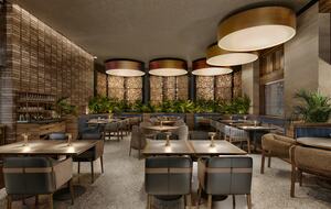 Oceanfront Guest Room at AVA Resort Cancún (All-Inclusive Vacation) - Cancún, Mexico