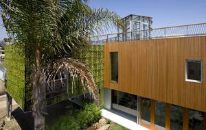 Architectural Oasis in Venice - Venice, California