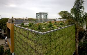 Architectural Oasis in Venice - Venice, California